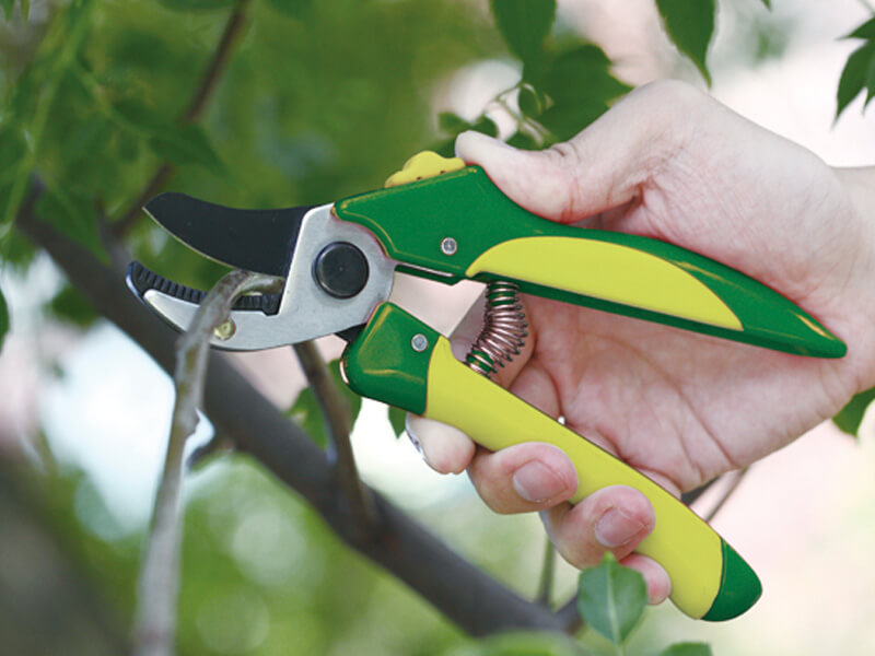 Comfort Plastic Handle Pruner