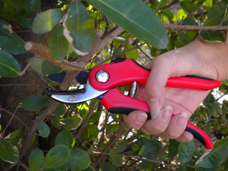 Ergonomic Anvil Pruning Shears