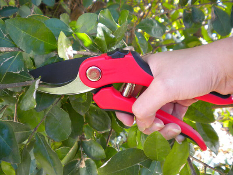 Ergonomic Bypass Pruning Shears