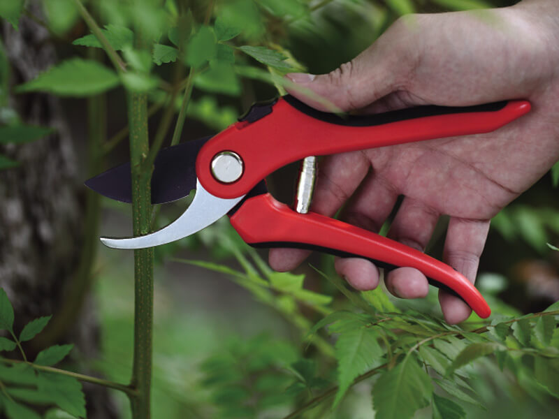 Ergonomic Bypass Pruning Shears