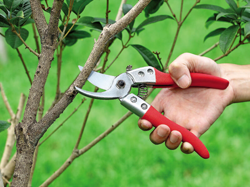 Super Professional Strong Bypass Pruning Shears