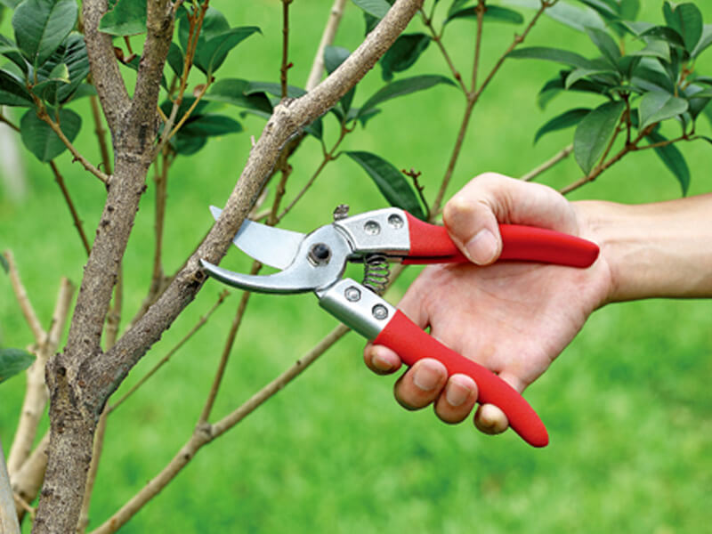 Premium Bypass Garden Pruner