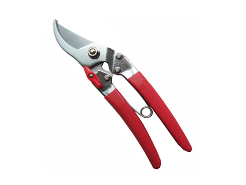 Professional Pruning Shear