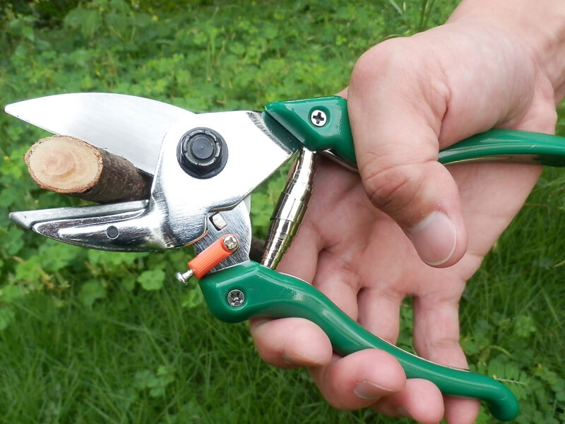 Anvil Pruning Shears