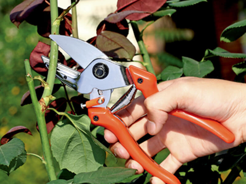 Anvil Pruning Shears