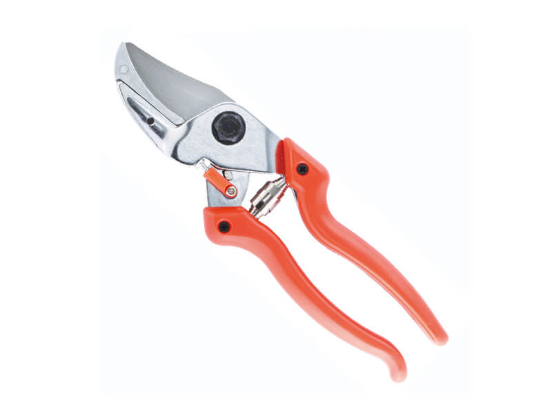 PROFESSIONAL Anvil Pruning Shears