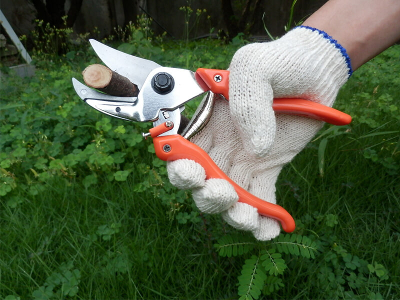 PROFESSIONAL Anvil Pruning Shears