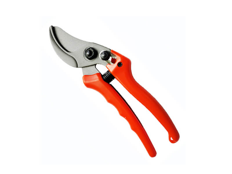 Professional Bypass Pruner