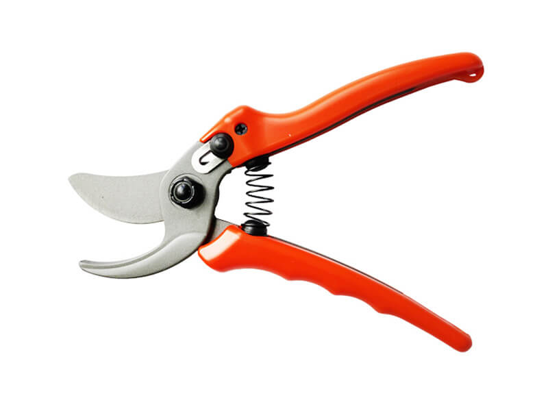 Professional Bypass Pruner