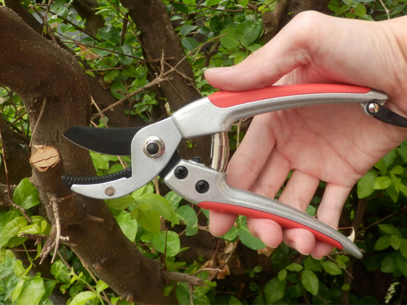 Podadora manual de yunque para trabajo pesado