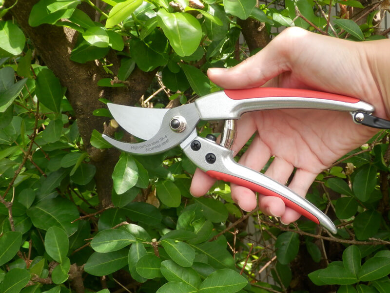 Heavy Duty Bypass Pruner