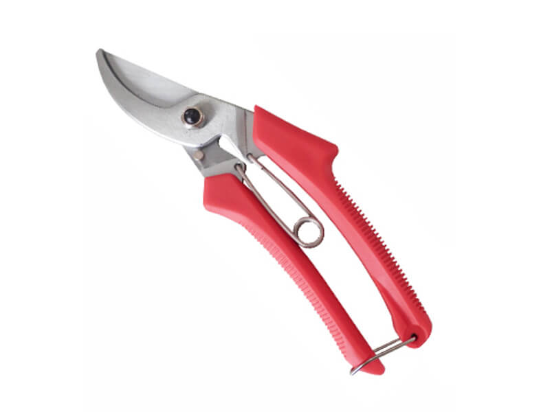 professional Bypass Pruner