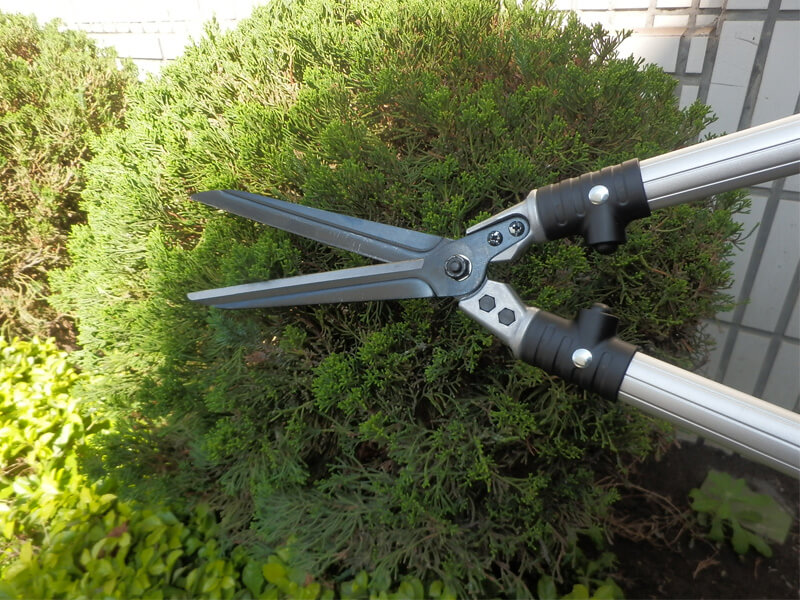 Garden Hedge Shear