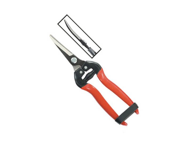 Curved Blade Fruit Pruner