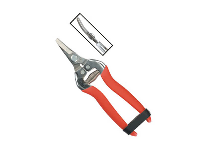 Curved Blade Stainless Steel Fruit Pruner