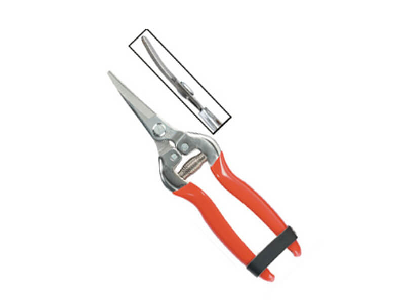 Curved Blade Stainless Steel Fruit Pruner