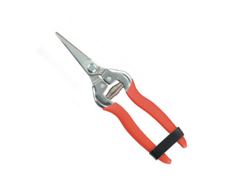 Stainless Steel Fruit Pruner