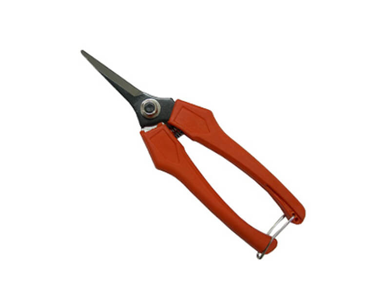 Trimming Pruner