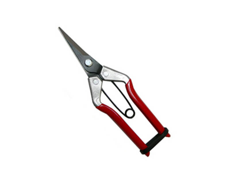 Pointed Blade Fruit Pruner