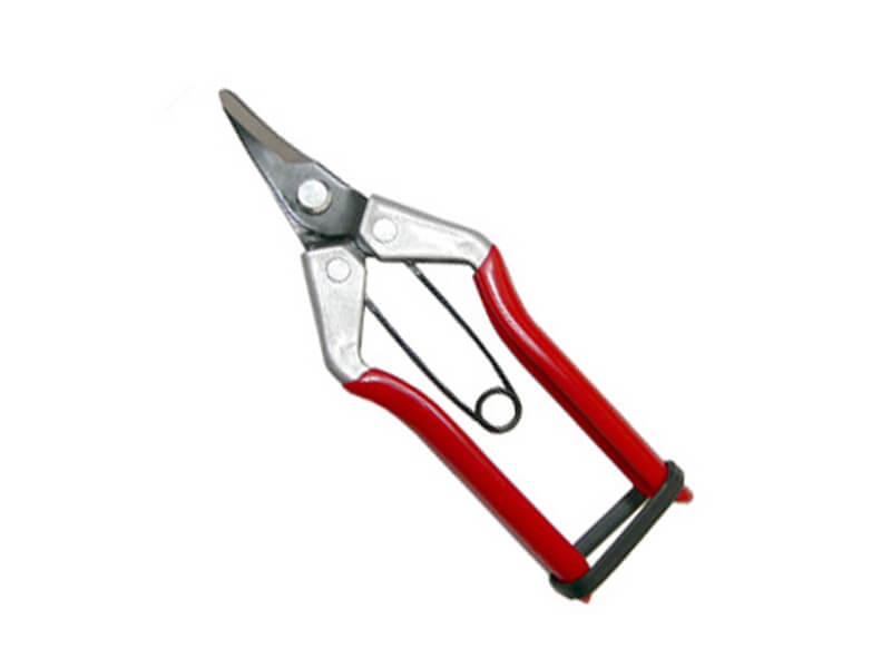 Curved Blade Fruit Pruner