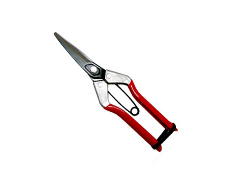 Long Blade Fruit Pruner