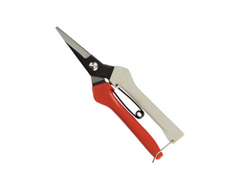 Pointed Blade Fruit Pruner