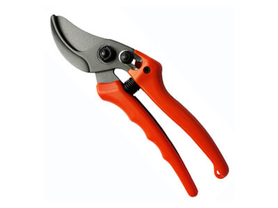 New Professional Bypass pruner