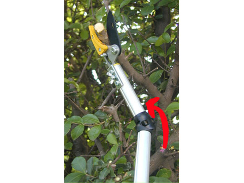 Long Reach Pruner with adjustable angle head (4 sizes for option)