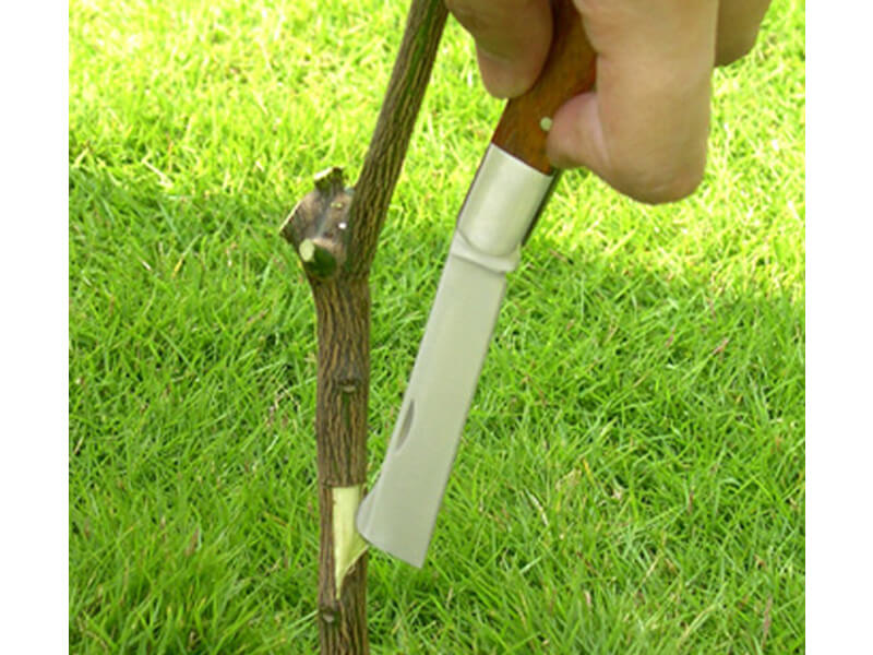 Graft/ Budding Gardening Knife