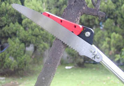 Available to adding the pruning saw