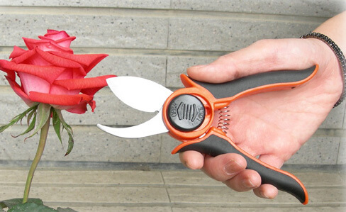 Mini Pruning Shears